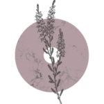 muse escapes favicon ori.png
